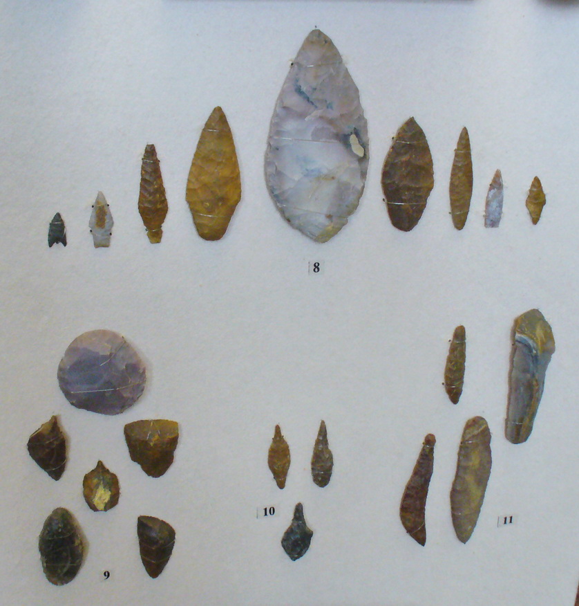 Collection of Neolithic artifacts, including arrowheads and spear points.
